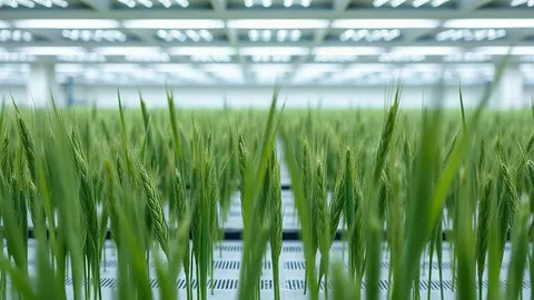 Indoor Wheat: 1.5 kg/m² Yield Benchmark in Vertical Farms