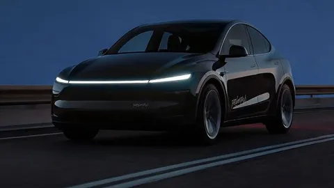 Tesla Robotaxi Hours Extended to 11 PM: The Kitten Problem