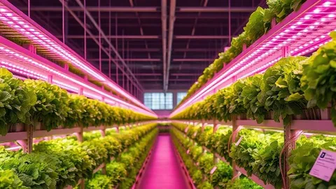 Canada PMRA Opens Vertical-Farm Pesticide Labels Oct 2026