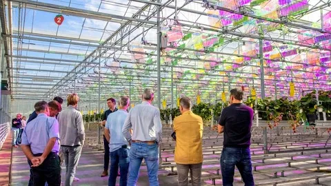 Voltiris Opens Netherlands’ First Hectare-Scale Solar Strawberry Greenhouse