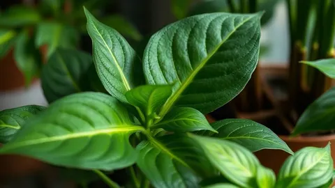 7 Houseplants to Bring Indoors in September Before Cool Nights