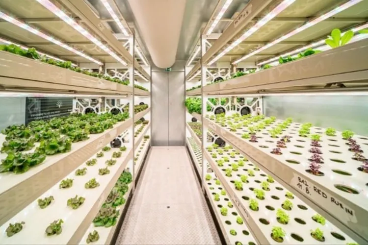 Siemens SIMATIC × LindenGreen: Container Hydroponics Oct 2026