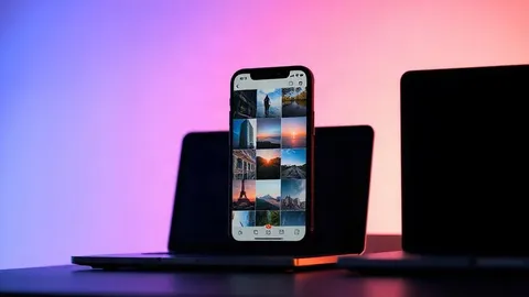 iOS 27 Photos Opens Shared Albums to Android and Windows Users