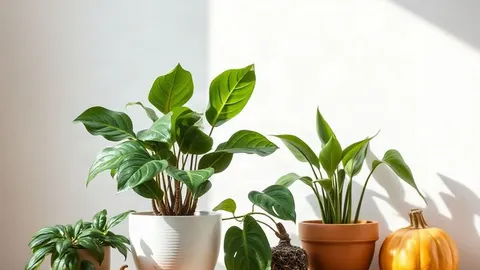 Fall: how to adjust your houseplant care (light, humidity, watering)