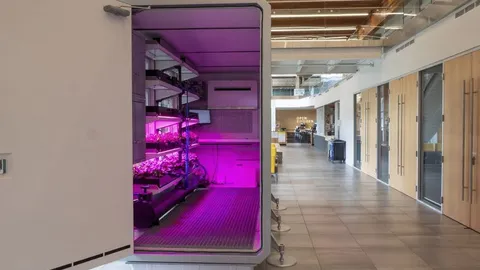 UBC Hydroponic Pod: Campus-Grown Greens in the Dining Hall