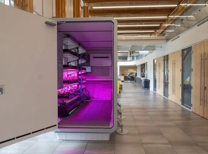 UBC Hydroponic Pod: Campus-Grown Greens in the Dining Hall
