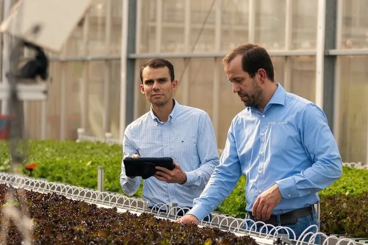 BASF Nunhems Opens an Automated Greenhouse to Breed Lettuce for Indoor Farms