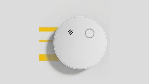 Minut A1: Self-Testing Smoke & CO Alarm for Short-Term Rentals