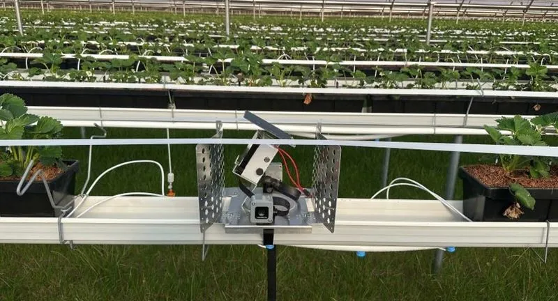 hexafarms Raises €4.8M for Greenhouse AI Sensors and Robots