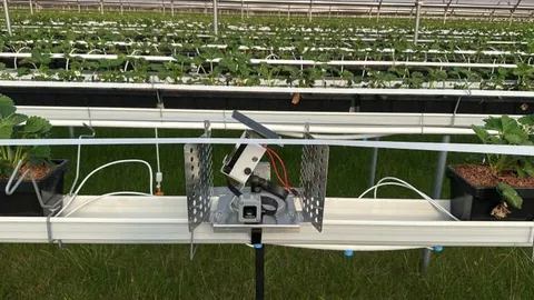 hexafarms Raises €4.8M for Greenhouse AI Sensors and Robots