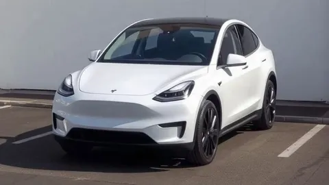 Tesla Model Y dominates France's EV sales